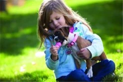 Kong Puppy - Kauwbot Hondenspeelgoed Small - Kauwbot - 85mm X 42mm - Groen/Wit 26 Kong Puppy - Kauwbot Hondenspeelgoed Small - Kauwbot - 85mm X 42mm - Groen/Wit -Merkloos Winkel 1200x800 121