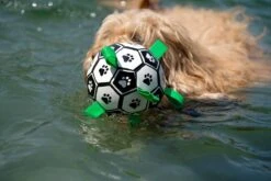 Honden Speelgoed Bal Voetbal Extra Sterk Met Handvaten Ball Hondenbal - 15 Cm - Dutchwide -Merkloos Winkel 1200x800 139