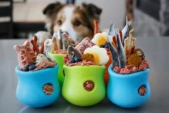 West Paw Toppl Zogoflex - Uitdagend En Sterk Speelgoed Voor Honden - Slowfeeder - Vulbaar Met Voer Of Snacks - Kleur: Groen, Maat: Large 25 West Paw Toppl Zogoflex - Uitdagend En Sterk Speelgoed Voor Honden - Slowfeeder - Vulbaar Met Voer Of Snacks - Kleur: Groen, Maat: Large -Merkloos Winkel 1200x800 144