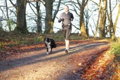 Trixie Heupriem Met Jogginglijn Zwart - RIEM 60-120 CM LIJN 100-135 CM 16 Trixie Heupriem Met Jogginglijn Zwart - RIEM 60-120 CM LIJN 100-135 CM -Merkloos Winkel 1200x800 16