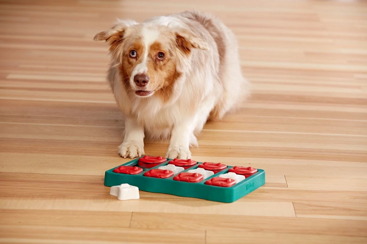 Nina Ottosson - Hondenspel - Dog Brick 8 Nina Ottosson - Hondenspel - Dog Brick - Afbeelding 6