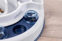 Trixie Slide & Feed Strategiespel - Hondenspeelgoed 12 Trixie Slide & Feed Strategiespel - Hondenspeelgoed -Merkloos Winkel 1200x800 167