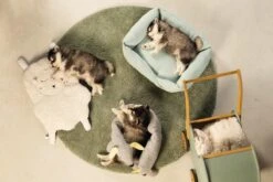 Beeztees Puppy Cosy Doggy - Hondenspeelgoed - Grijs - 120x12x9,5 Cm -Merkloos Winkel 1200x800 173