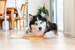 Lickimat Buddy - Voermat - Slow Feeder - 20 Cm - Oranje -Merkloos Winkel 1200x800 183