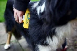 Furminator® Hond Langhaar - Vermindert Haaruitval Tot 90% - Hondenborstel - L 12 Furminator® Hond Langhaar - Vermindert Haaruitval Tot 90% - Hondenborstel - L -Merkloos Winkel 1200x800 4