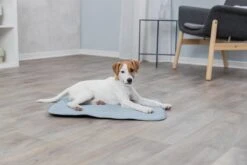 Trixie Junior Ligmat Fresh Lichtblauw - 60X50 CM -Merkloos Winkel 1200x800 46