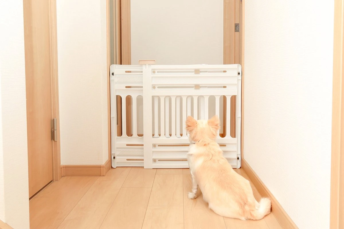 Iris Ohyama Huisdier Bariere PBR-600 - Kunststof - Wit/Beige - Uitschuifbaar 7 Iris Ohyama Huisdier Bariere PBR-600 - Kunststof - Wit/Beige - Uitschuifbaar - Afbeelding 5