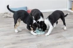 Trixie Junior Likplaat Mintgroen - 21X21 CM 14 Trixie Junior Likplaat Mintgroen - 21X21 CM -Merkloos Winkel 1200x800 63