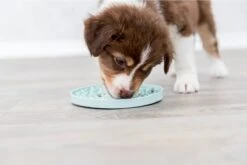 Trixie Junior Likplaat Mintgroen (15X15 CM) 19 Trixie Junior Likplaat Mintgroen (15X15 CM) -Merkloos Winkel 1200x800 72