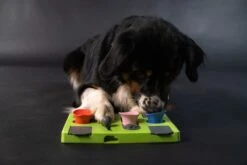 Eat Slow Live Longer Puzzel Rectangle – Intelligentie Speelgoed Voor Honden – Interactief Hondenspeelgoed – Uitdagende Hondenpuzzel – Gerecyclede Materialen – Te Vullen Met Snacks - 25x26x5 Cm - Groen 10 Eat Slow Live Longer Puzzel Rectangle – Intelligentie Speelgoed Voor Honden – Interactief Hondenspeelgoed – Uitdagende Hondenpuzzel – Gerecyclede Materialen – Te Vullen Met Snacks - 25x26x5 Cm - Groen -Merkloos Winkel 1200x800 80