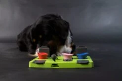 Eat Slow Live Longer Puzzel Rectangle – Intelligentie Speelgoed Voor Honden – Interactief Hondenspeelgoed – Uitdagende Hondenpuzzel – Gerecyclede Materialen – Te Vullen Met Snacks - 25x26x5 Cm - Groen 12 Eat Slow Live Longer Puzzel Rectangle – Intelligentie Speelgoed Voor Honden – Interactief Hondenspeelgoed – Uitdagende Hondenpuzzel – Gerecyclede Materialen – Te Vullen Met Snacks - 25x26x5 Cm - Groen -Merkloos Winkel 1200x800 82