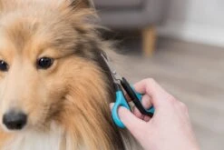 Trixie Gezicht- En Potenschaar Kunststof / Rvs 8 Cm 15 Trixie Gezicht- En Potenschaar Kunststof / Rvs 8 Cm -Merkloos Winkel 1200x800 9