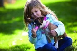 Kong Puppy - Hondenspeelgoed - Assorti - L 33 Kong Puppy - Hondenspeelgoed - Assorti - L -Merkloos Winkel 1200x801 4