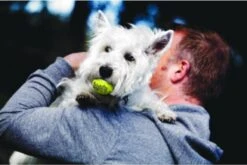 Kong Squeakair Ball - Hondenspeelgoed - 6 St -Merkloos Winkel 1200x802 11