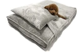 Orthopedisch Hondenkussen Grijs - Hondenmand Ribstof Premium L - Luxe Hondenbed 100x70cm - Grijs Tot 40 KG 17 Orthopedisch Hondenkussen Grijs - Hondenmand Ribstof Premium L - Luxe Hondenbed 100x70cm - Grijs Tot 40 KG -Merkloos Winkel 1200x806 3