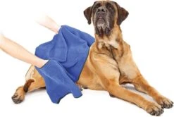 Duvo+ Hondenhanddoek 70 X 100 Cm 11 Duvo+ Hondenhanddoek 70 X 100 Cm -Merkloos Winkel 1200x808