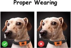 Merkloos Anti Blafband Voor Honden Blafband Anti Blaf Apparaat Blafband Zonder Schok - Diervriendelijk -Merkloos Winkel 1200x822