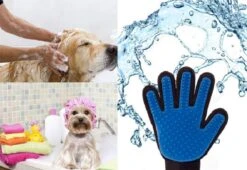 Vacht Verzorgingsborstel Voor Huisdieren - Blauw - LimitedDeals - Voor Honden Katten Konijnen Paarden - Tevens Massage Handschoen Voor Dieren! - Goed Voor De Verzorging Van De Vacht 13 Vacht Verzorgingsborstel Voor Huisdieren - Blauw - LimitedDeals - Voor Honden Katten Konijnen Paarden - Tevens Massage Handschoen Voor Dieren! - Goed Voor De Verzorging Van De Vacht -Merkloos Winkel 1200x825