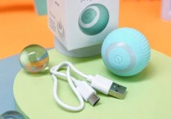 Merkloos Interactive Bal Voor Katten - Zelf Rollende Bal Voor Katten - Elektrisch Kattenspeeltje - Usb Oplaadbaar - Zelf Rollend Interactief Kattenspeeltje - Huisdieren Speeltjes - Cadeau Dierenliefhebbers 15 Merkloos Interactive Bal Voor Katten - Zelf Rollende Bal Voor Katten - Elektrisch Kattenspeeltje - Usb Oplaadbaar - Zelf Rollend Interactief Kattenspeeltje - Huisdieren Speeltjes - Cadeau Dierenliefhebbers -Merkloos Winkel 1200x835 6