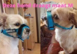 Sharon B Muilkorf Paars Maat M - Fleece - Wasbaar - Reflecterend -Merkloos Winkel 1200x852 3