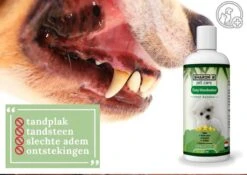 Easy Mondwater Voor Honden - 237 Ml - Tegen Stinkende Adem - Tandplak - Tandsteen - Tandvleesproblemen -Merkloos Winkel 1200x852 7