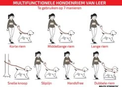 Multifunctionele Hondenriem - 220cm - Bruin - Leren Hondenriem - 100% Volnerfleer - Hondenriem Leer - Leiband Hond 15 Multifunctionele Hondenriem - 220cm - Bruin - Leren Hondenriem - 100% Volnerfleer - Hondenriem Leer - Leiband Hond -Merkloos Winkel 1200x853 2