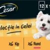 Cesar Selectie In Gelei Maaltijdzakjes Honden Natvoer - Vlees En Groenten In Gelei - 48 X 100g -Merkloos Winkel 1200x861 1