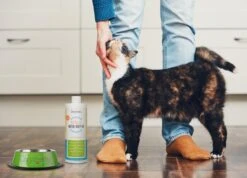 OxyFresh Pet Mondwater Hond En Kat. Helpt Tegen Tandsteen, Plak En Vieze Ademgeurtjes 9 OxyFresh Pet Mondwater Hond En Kat. Helpt Tegen Tandsteen, Plak En Vieze Ademgeurtjes -Merkloos Winkel 1200x864 4
