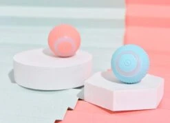 Merkloos Speelbal - Slimme Interactieve Zelfrollende Bal - Kat En Hond Speelgoed - Kattenspeelgoed - BLAUW -Merkloos Winkel 1200x868 3