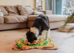 SNUFFIES® Snuffelmat Belle 60x50cm – Snuffelmat – Snuffelmatten - Honden Speelgoed - Honden Speelgoed Intelligentie - Snuffelmat Hond - Snuffelmatten – Hersenwerk – Honden Speeltjes – Puppy - Puppy Speelgoed - Honden Denkspelletjes -Merkloos Winkel 1200x872 3