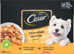 Cesar Selectie In Gelei Maaltijdzakjes Honden Natvoer - Vlees En Groenten In Gelei - 48 X 100g -Merkloos Winkel 1200x874