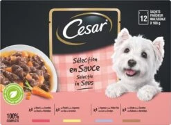 Cesar Selectie In Saus Maaltijdzakjes Honden Natvoer - Vlees En Groenten In Saus - 48 X 100 Gr -Merkloos Winkel 1200x875
