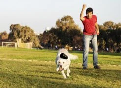 Kong Extreme -Merkloos Winkel 1200x881 2