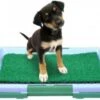 Hondentoilet Kunstgras - 3 Laags - 46 X 33 X 6cm - Puppy Pads - Zindelijkheidstraining Hond - Training Pads Puppy - Hondenmat -Merkloos Winkel 1200x886