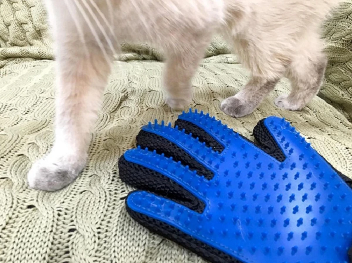 Vacht Verzorgingsborstel Voor Huisdieren - Blauw - LimitedDeals - Voor Honden Katten Konijnen Paarden - Tevens Massage Handschoen Voor Dieren! - Goed Voor De Verzorging Van De Vacht 11 Vacht Verzorgingsborstel Voor Huisdieren - Blauw - LimitedDeals - Voor Honden Katten Konijnen Paarden - Tevens Massage Handschoen Voor Dieren! - Goed Voor De Verzorging Van De Vacht - Afbeelding 9