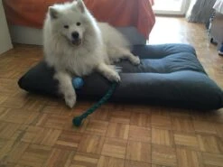 Hondenkussen XL - Donkergrijs - 60 X 90 X 12 -Merkloos Winkel 1200x900 11