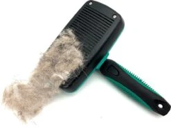 ElegaPet Hondenborstel Groen - Hondenhaar Verwijderen - Kat En Hondenkam - Slickerborstel Hond En Kat - Groomer - Ondervacht Kam Hond - Borstel Hond - Hondenborstel Langharig En Kortharig - Slickerborstel - Anti Klit/Knopen/Huidschilfers -Merkloos Winkel 1200x902