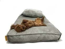 Orthopedisch Hondenkussen Grijs - Hondenmand Ribstof Premium L - Luxe Hondenbed 100x70cm - Grijs Tot 40 KG 18 Orthopedisch Hondenkussen Grijs - Hondenmand Ribstof Premium L - Luxe Hondenbed 100x70cm - Grijs Tot 40 KG -Merkloos Winkel 1200x910 2