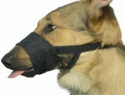 Beeztees Comfort Muilband - Hond - M - 15-20 Cm -Merkloos Winkel 1200x918