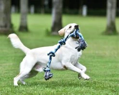 Viervoetjes - BigBoi - XXL - Honden Touw - 90cm - Honden Speelgoed - HondenSpeeltjes - Blauw/Wit/Zwart -Merkloos Winkel 1200x958 6