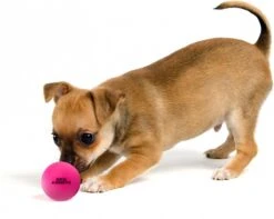 Dog Comets Ball Stardust Roze M 2pack – Honden Bal – Honden Speelgoed – Bal Voor Apporteren Van Uw Hond – Natuurlijk Rubber – Bal Diameter Van 6 Cm 11 Dog Comets Ball Stardust Roze M 2pack – Honden Bal – Honden Speelgoed – Bal Voor Apporteren Van Uw Hond – Natuurlijk Rubber – Bal Diameter Van 6 Cm -Merkloos Winkel 1200x959 2