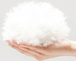 BEESSIES® Donut Hondenmand/hondenkussen 120 Cm - Wasbare Hoes - Zwart - Hond Kussen Mand 11 BEESSIES® Donut Hondenmand/hondenkussen 120 Cm - Wasbare Hoes - Zwart - Hond Kussen Mand -Merkloos Winkel 1200x963 1