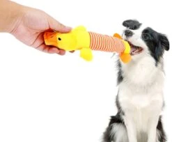 Hiden | Hondenspeelgoed - Pluche - Hondenspeeltjes - Huisdieren - Hondenknuffel | Eend -Merkloos Winkel 1200x992 4