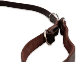 Multifunctionele Hondenriem - 220cm - Bruin - Leren Hondenriem - 100% Volnerfleer - Hondenriem Leer - Leiband Hond 17 Multifunctionele Hondenriem - 220cm - Bruin - Leren Hondenriem - 100% Volnerfleer - Hondenriem Leer - Leiband Hond -Merkloos Winkel 1200x993