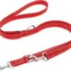 Happilax Dog Leash 2m Adjustable - Red / Reflective - 3-Step Adjustable Leash - Double Leash, Tug Leash - Geschikt Als Hondenriem Voor Grote Honden Of Als Sleepriem Voor Kleine Honden. 1 Happilax Dog Leash 2m Adjustable - Red / Reflective - 3-Step Adjustable Leash - Double Leash, Tug Leash - Geschikt Als Hondenriem Voor Grote Honden Of Als Sleepriem Voor Kleine Honden. -Merkloos Winkel 1200x995 13