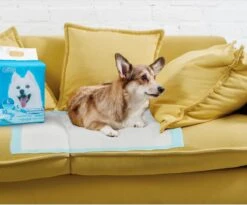 Nobleza 48LXB - Puppy Training Pads - 60 X 90 Cm - Zindelijkheidstraining - 100 Stuks 14 Nobleza 48LXB - Puppy Training Pads - 60 X 90 Cm - Zindelijkheidstraining - 100 Stuks -Merkloos Winkel 1200x997 1