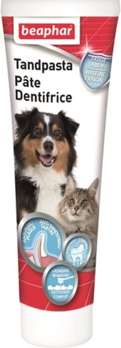 Beaphar Tandpasta - 100 Gr 21 Beaphar Tandpasta - 100 Gr -Merkloos Winkel 420x1200 1