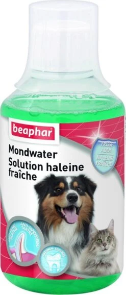Beaphar Mondwater - 250 Ml 11 Beaphar Mondwater - 250 Ml -Merkloos Winkel 513x1200