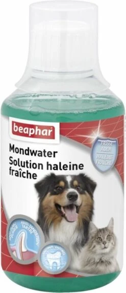 Beaphar Mondwater Hond/Kat - Gebitsverzorging - 3 X 250 Ml -Merkloos Winkel 517x1200 2