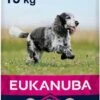 Eukanuba Caring Senior Medium Breed Kip - Hondenvoer - 15 Kg -Merkloos Winkel 550x1200